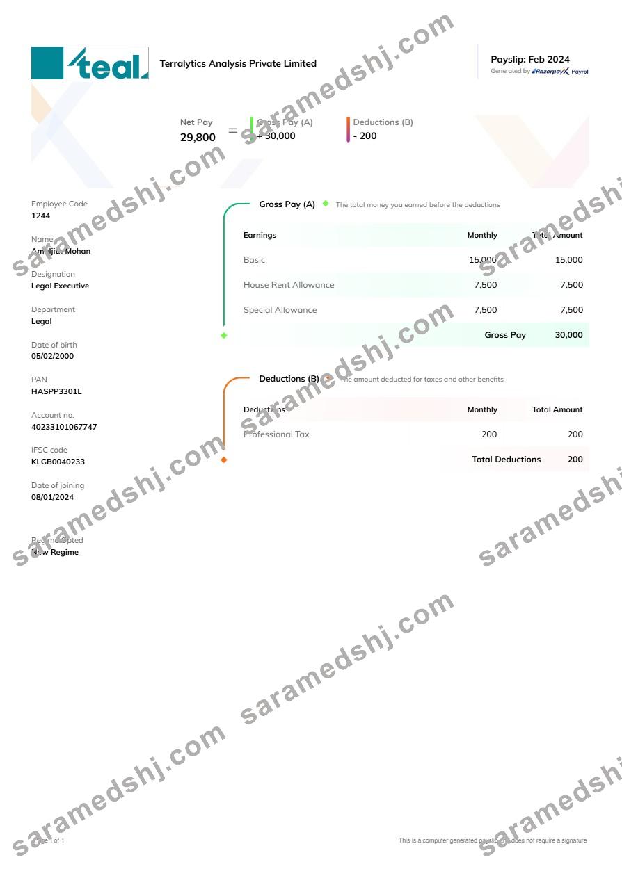 Terralytics Analysis payslip template in Word and PDF formats.pdf, 1